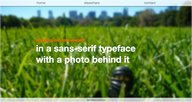 Sans-Serif Elegance